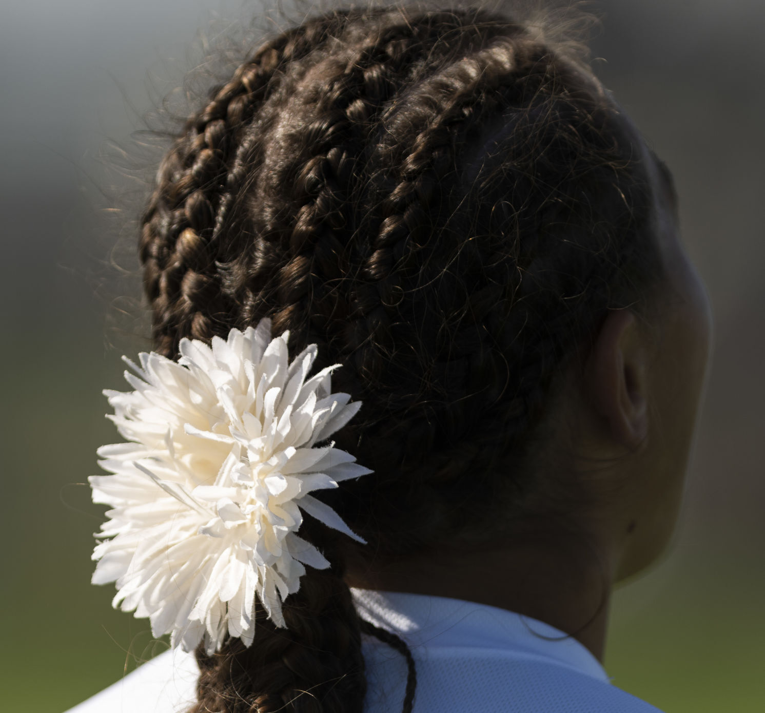 State softball, 10.15